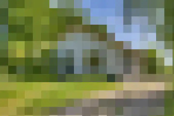 Liezenweg 1 Holten thumbnail 18