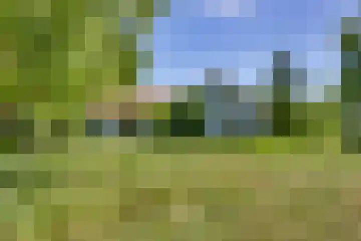 Liezenweg 1 Holten thumbnail 19