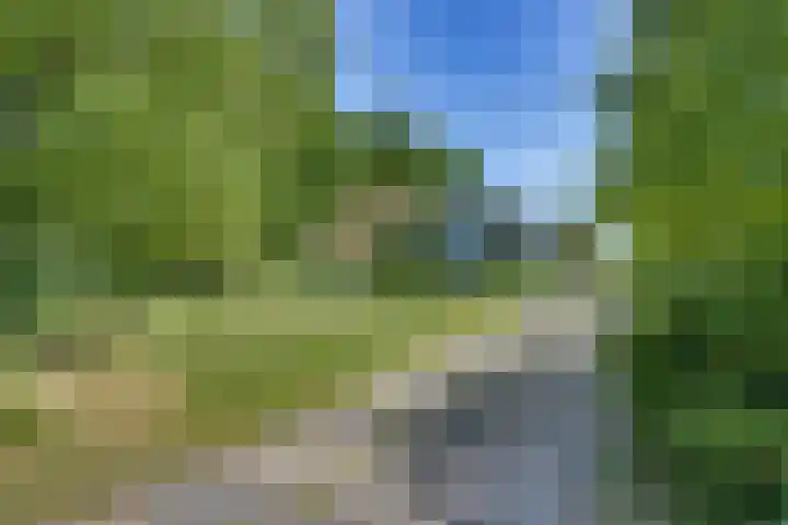 Liezenweg 1 Holten thumbnail 20