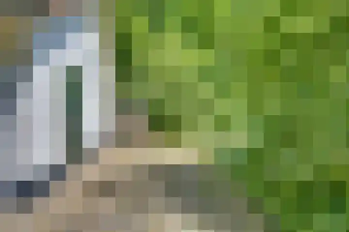 Liezenweg 1 Holten thumbnail 22