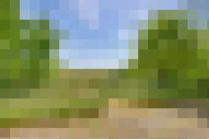 Liezenweg 1 Holten thumbnail 24