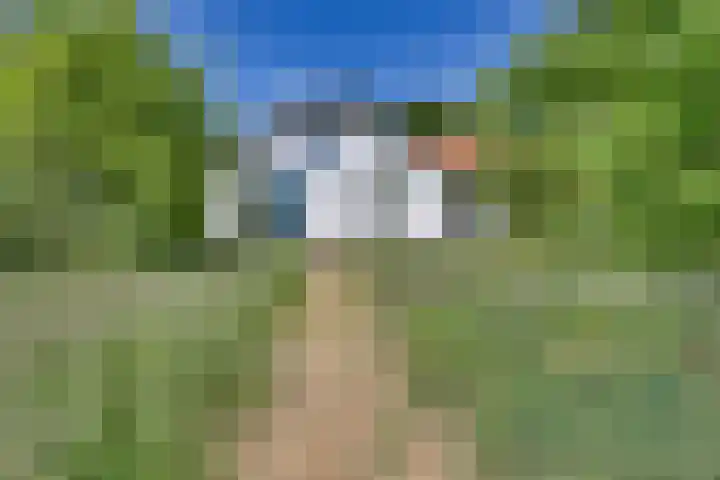 Liezenweg 1 Holten thumbnail 25