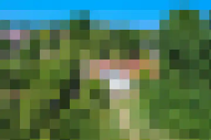 Liezenweg 1 Holten thumbnail 26