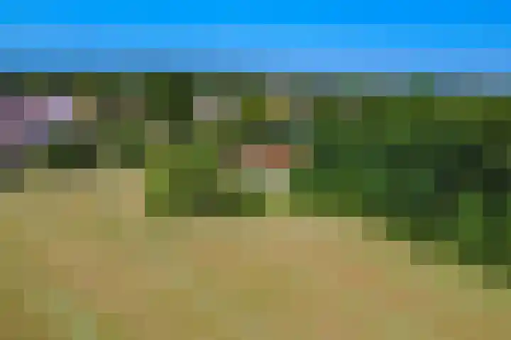 Liezenweg 1 Holten thumbnail 27