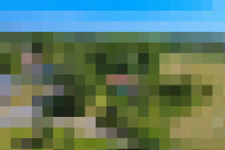 Liezenweg 1 Holten thumbnail 28