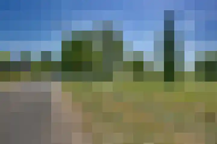 Liezenweg 1 Holten thumbnail 29