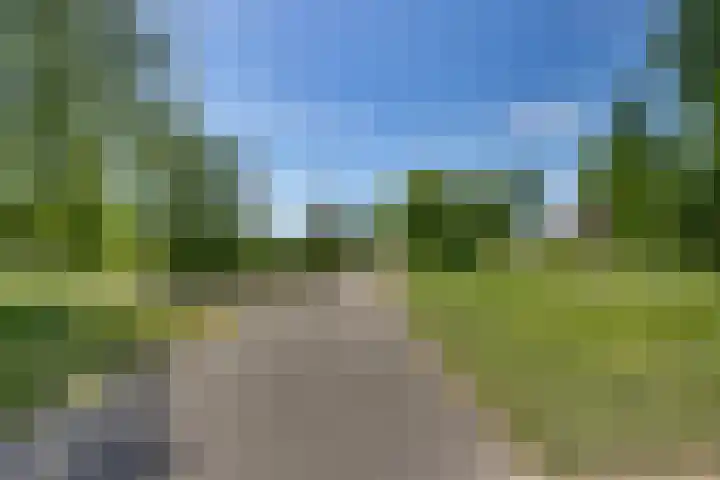 Liezenweg 1 Holten thumbnail 30