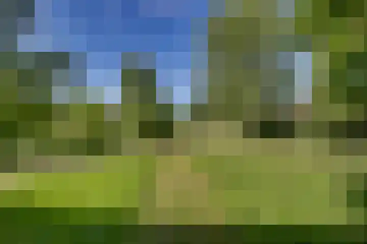 Liezenweg 1 Holten thumbnail 32