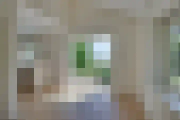 Liezenweg 1 Holten thumbnail 5