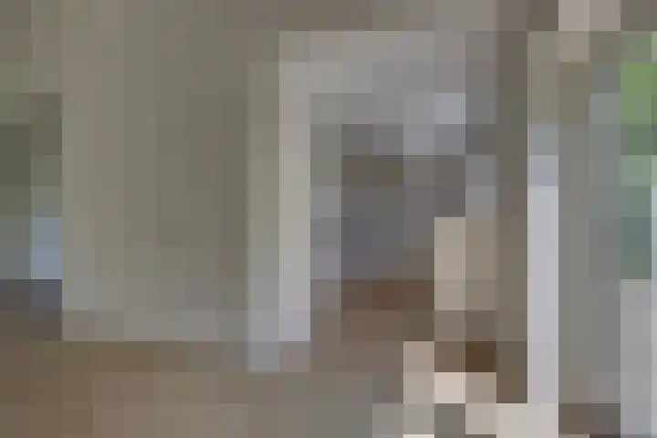 Liezenweg 1 Holten thumbnail 6