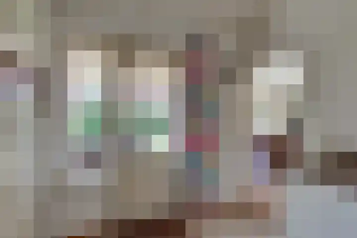 Liezenweg 6 Holten thumbnail 10