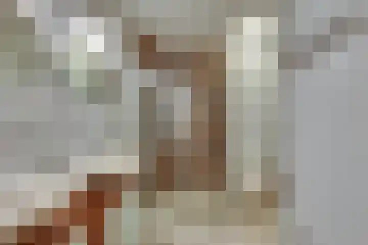 Liezenweg 6 Holten thumbnail 13