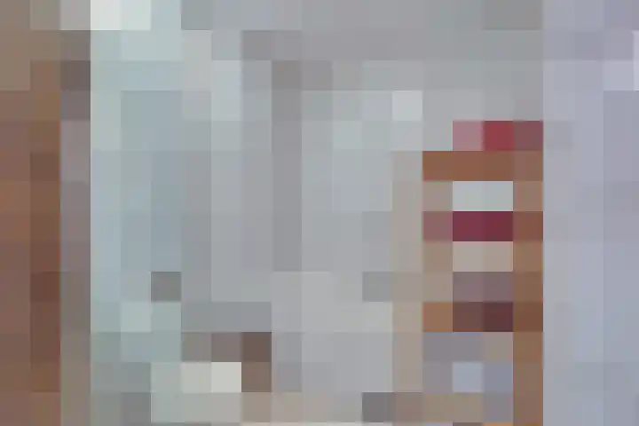 Liezenweg 6 Holten thumbnail 15