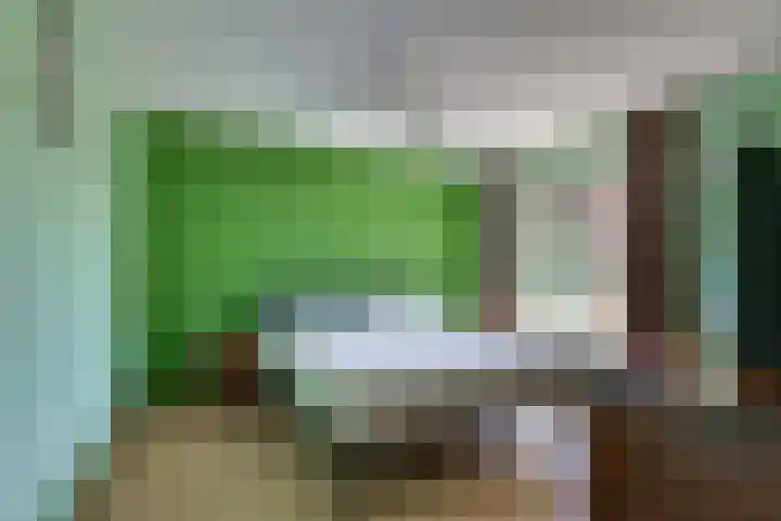 Liezenweg 6 Holten thumbnail 16
