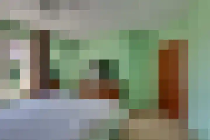 Liezenweg 6 Holten thumbnail 17