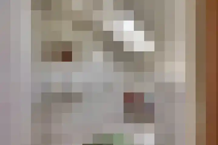 Liezenweg 6 Holten thumbnail 21