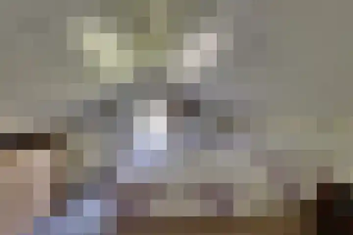 Liezenweg 6 Holten thumbnail 23