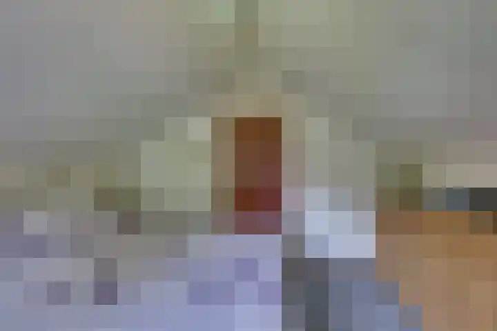 Liezenweg 6 Holten thumbnail 24