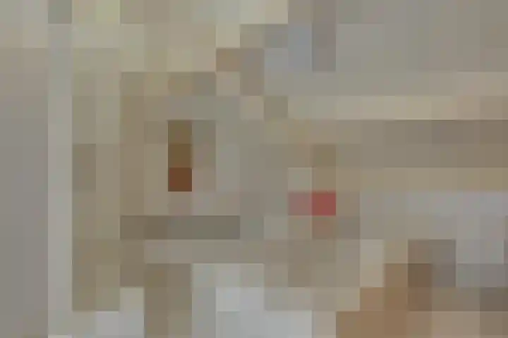 Liezenweg 6 Holten thumbnail 31