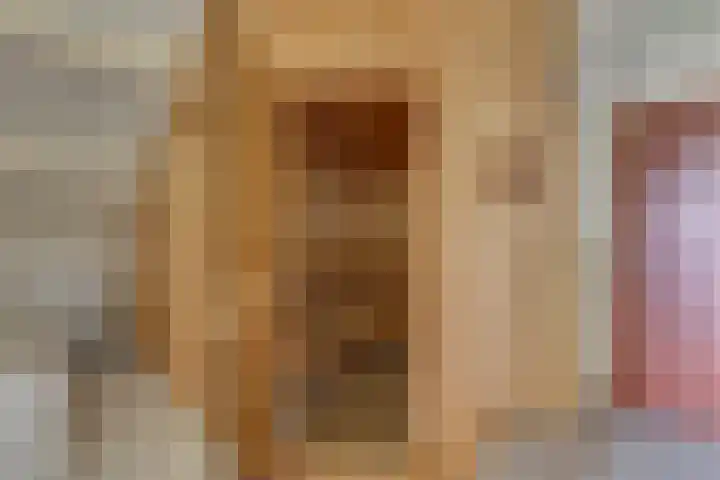 Liezenweg 6 Holten thumbnail 32