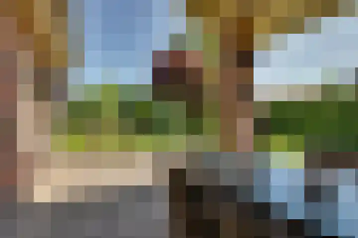 Liezenweg 6 Holten thumbnail 33