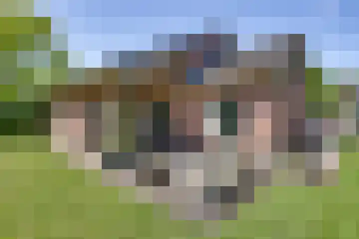 Liezenweg 6 Holten thumbnail 35