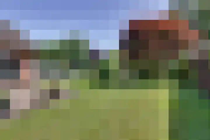 Liezenweg 6 Holten thumbnail 36