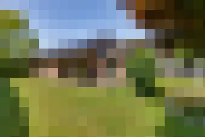 Liezenweg 6 Holten thumbnail 37