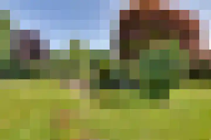 Liezenweg 6 Holten thumbnail 38