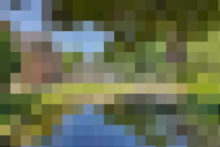 Liezenweg 6 Holten thumbnail 39