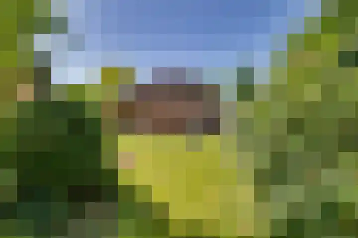 Liezenweg 6 Holten thumbnail 40