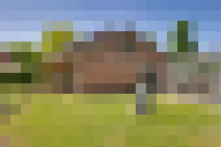 Liezenweg 6 Holten thumbnail 41