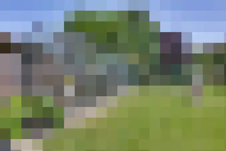 Liezenweg 6 Holten thumbnail 42