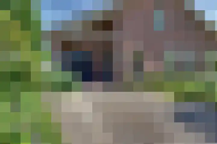 Liezenweg 6 Holten thumbnail 45