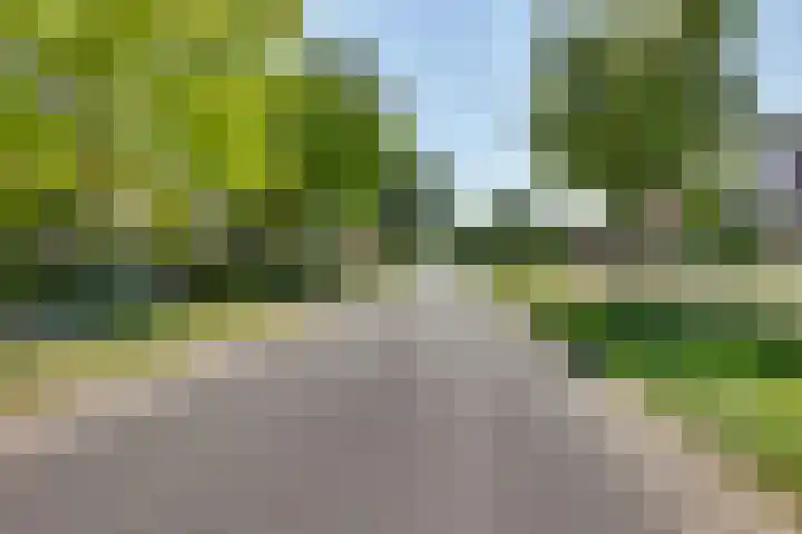 Liezenweg 6 Holten thumbnail 48