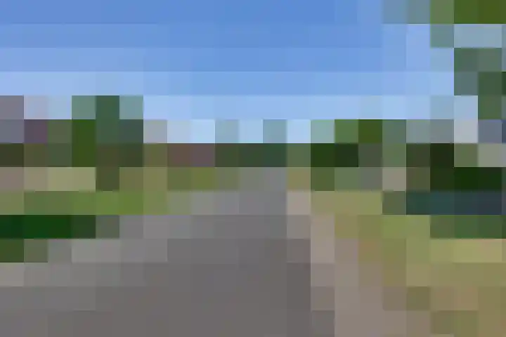 Liezenweg 6 Holten thumbnail 49
