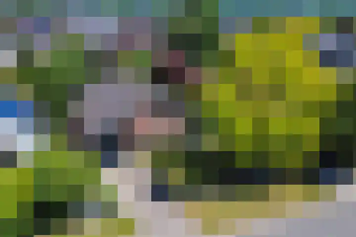 Liezenweg 6 Holten thumbnail 50