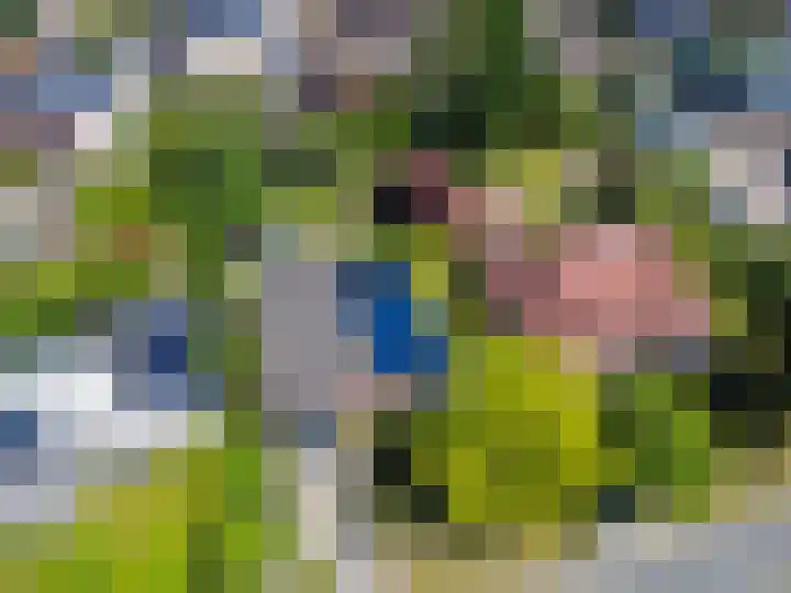Liezenweg 6 Holten thumbnail 51