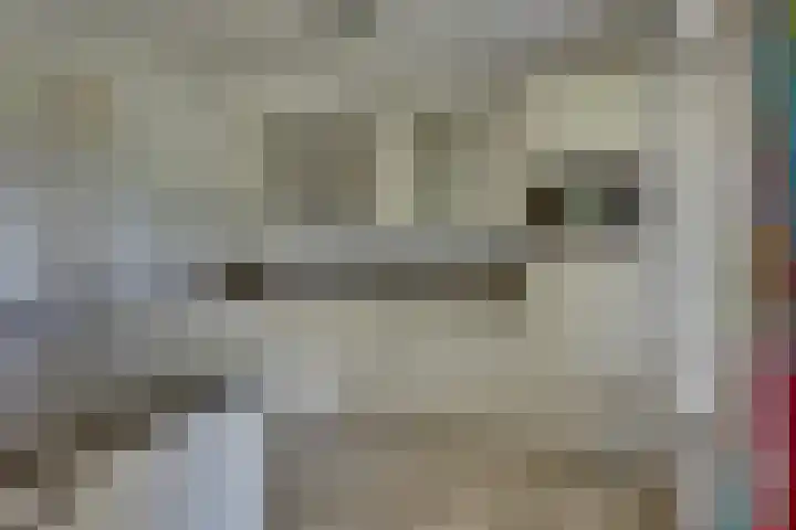 Liezenweg 6 Holten thumbnail 8