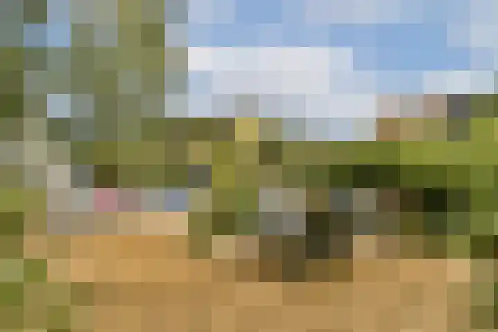 Liezeweg 4 Haastrecht thumbnail 10