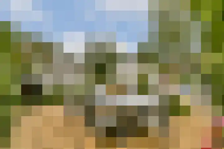Liezeweg 4 Haastrecht thumbnail 11
