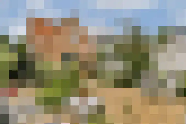 Liezeweg 4 Haastrecht thumbnail 12