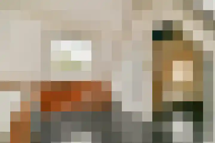 Liezeweg 4 Haastrecht thumbnail 21