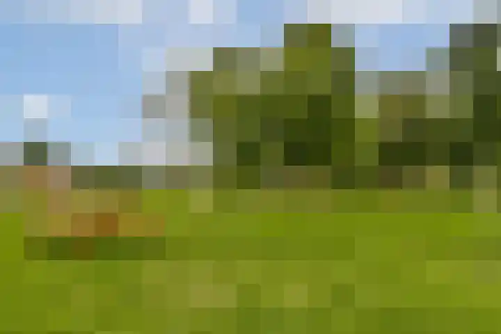 Liezeweg 4 Haastrecht thumbnail 23