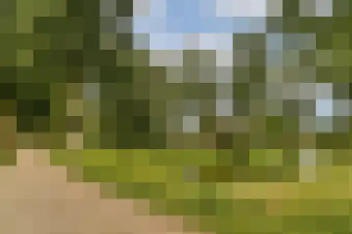 Liezeweg 4 Haastrecht thumbnail 24