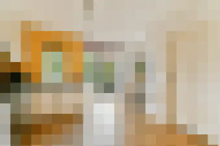 Liezeweg 4 Haastrecht thumbnail 9