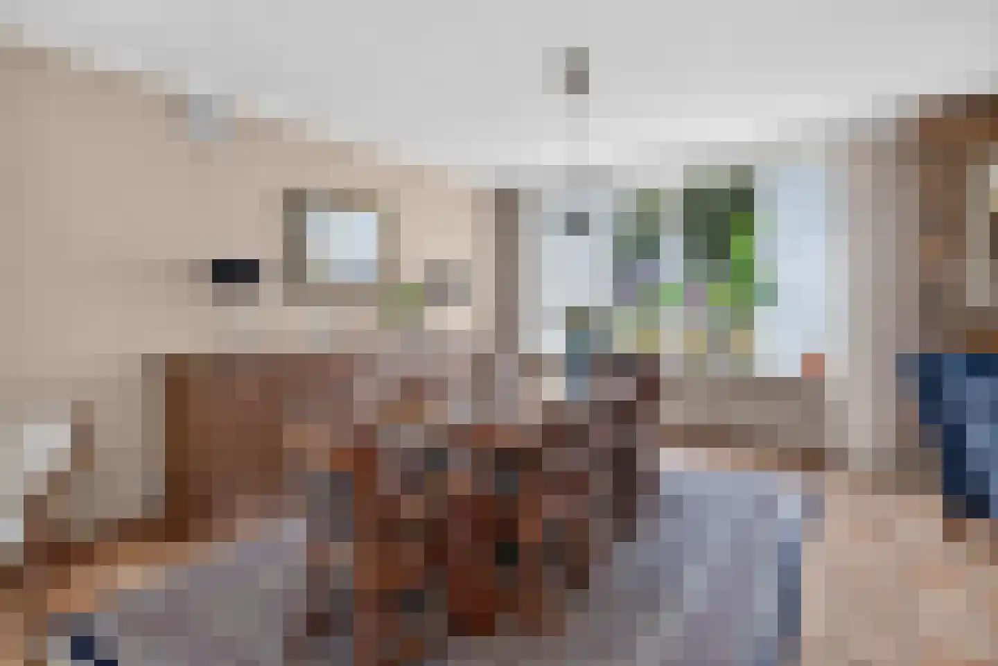 Lifgerusstraat 9 Raalte thumbnail 18