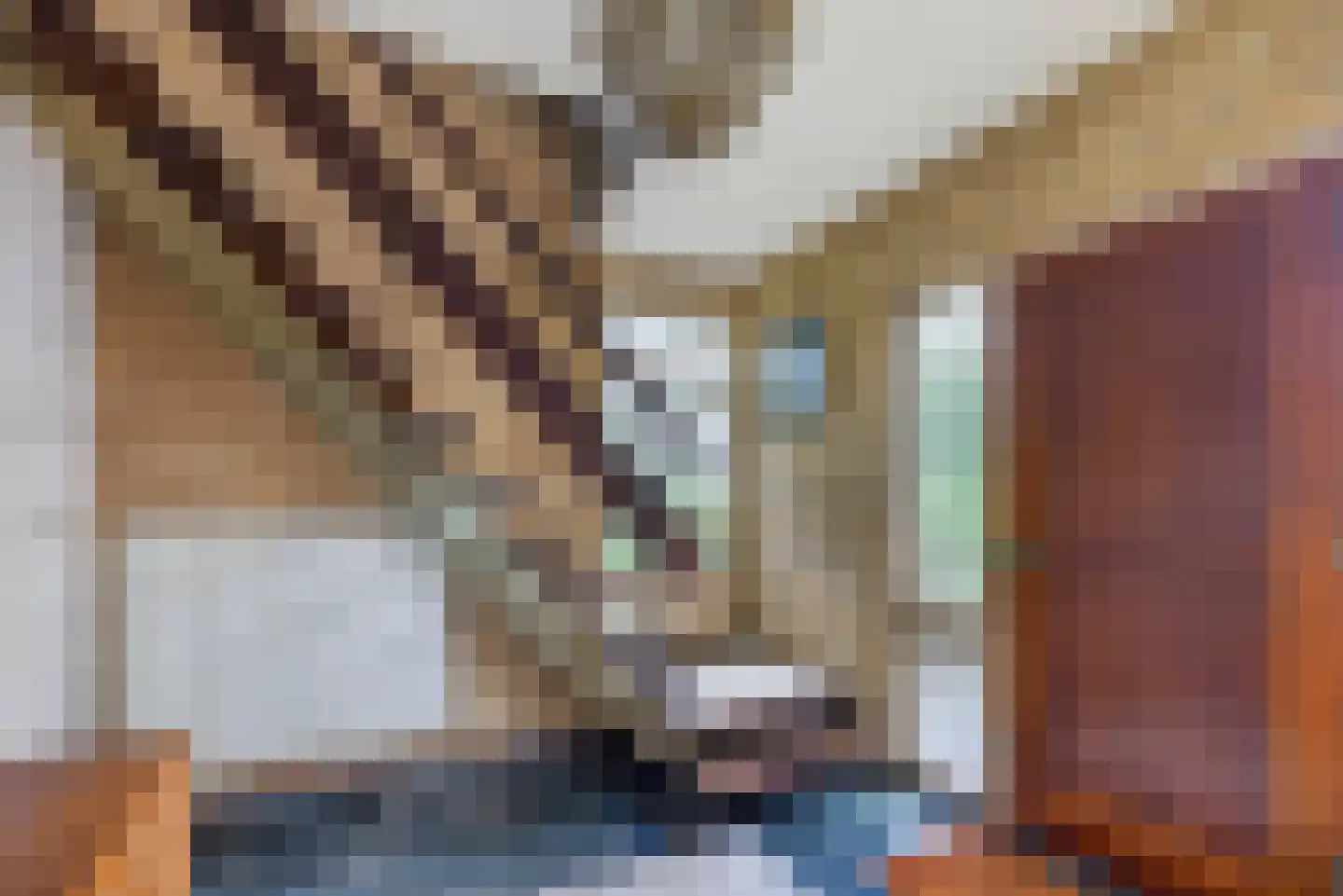 Lifgerusstraat 9 Raalte thumbnail 25
