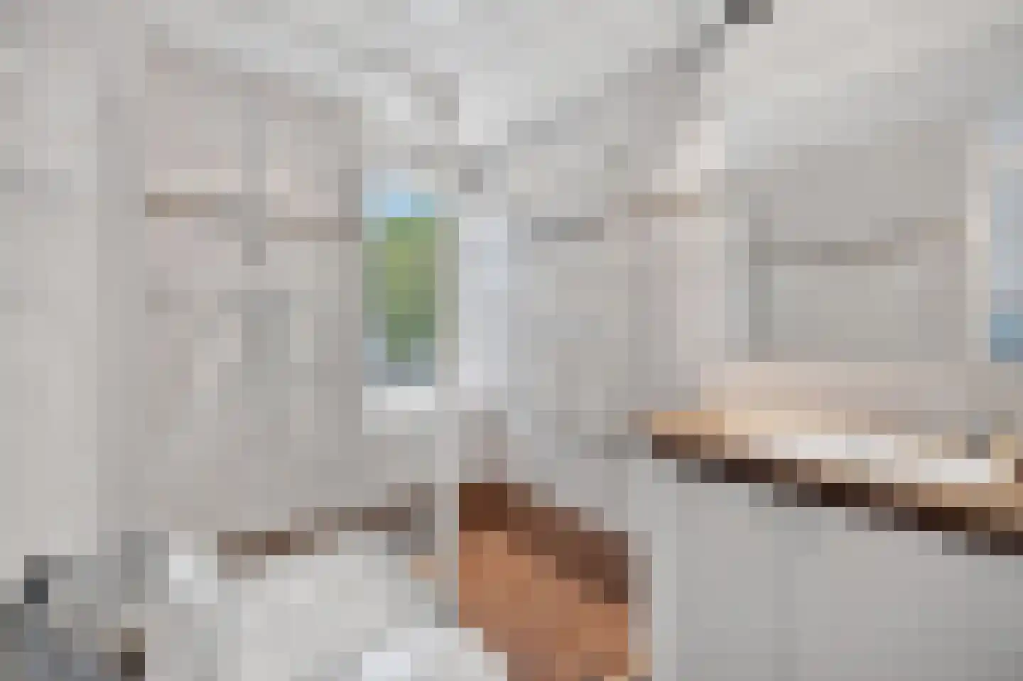Lifgerusstraat 9 Raalte thumbnail 28