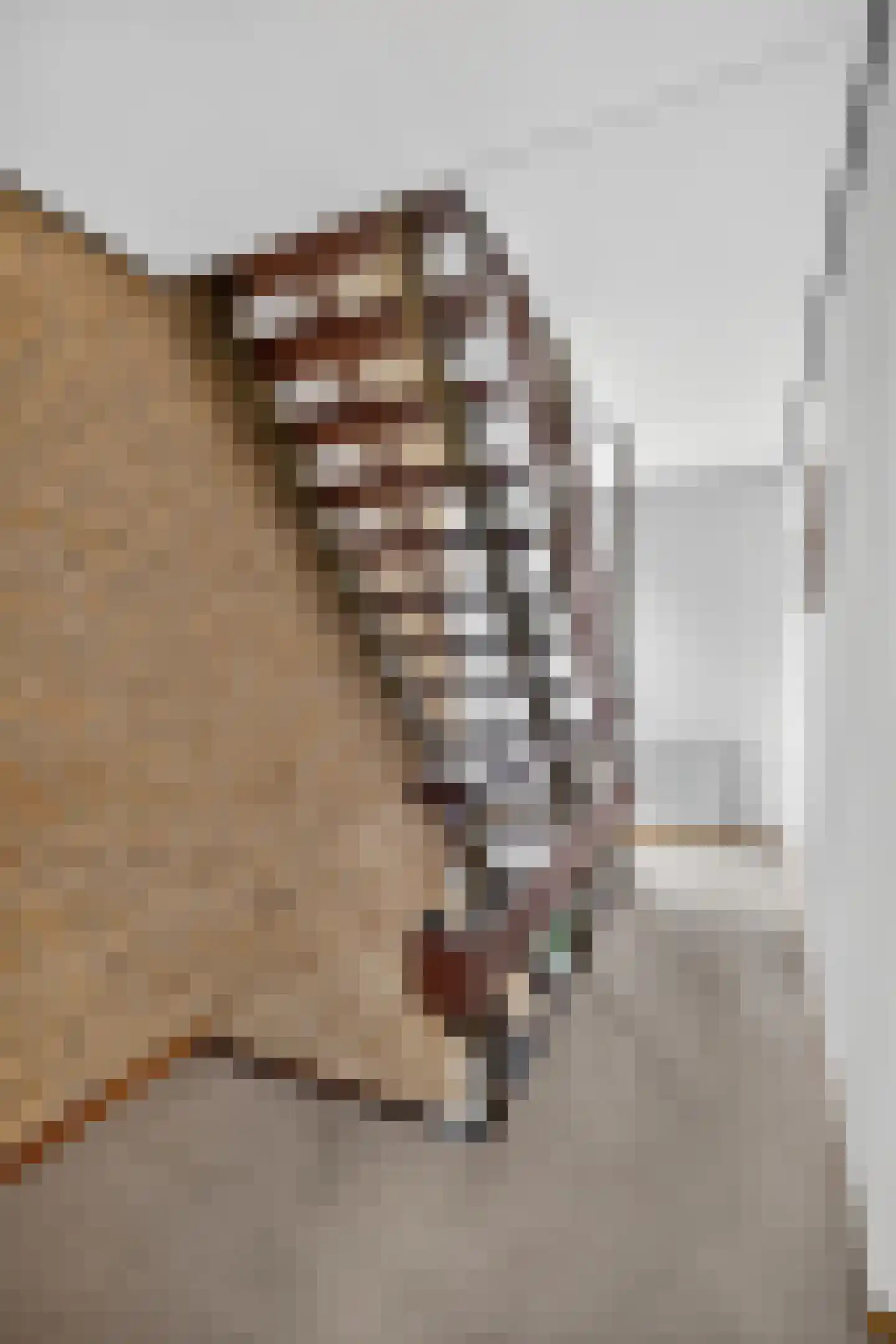 Lifgerusstraat 9 Raalte thumbnail 36